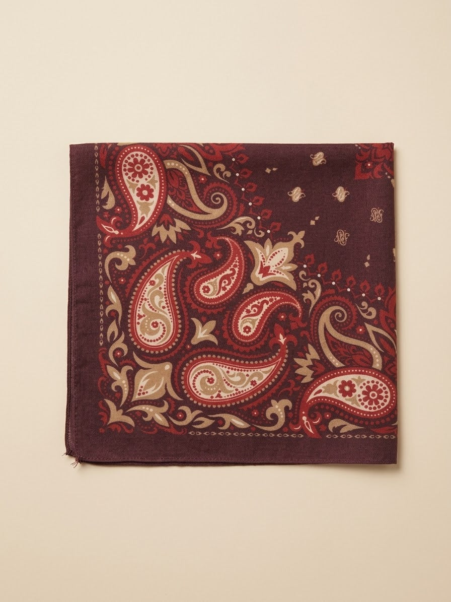 Petra Paisley 60x60 multi